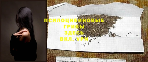 первитин Армянск