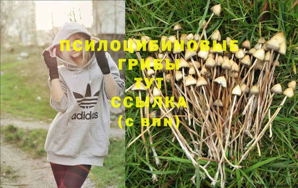 MDMA Арсеньев